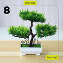 Bonsai Artificial (Planta Decorativa)
