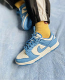 Tênis Nike SB Dunk (Unissex)